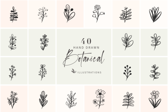 40 Hand Drawn Botanical Illustrations for Designers