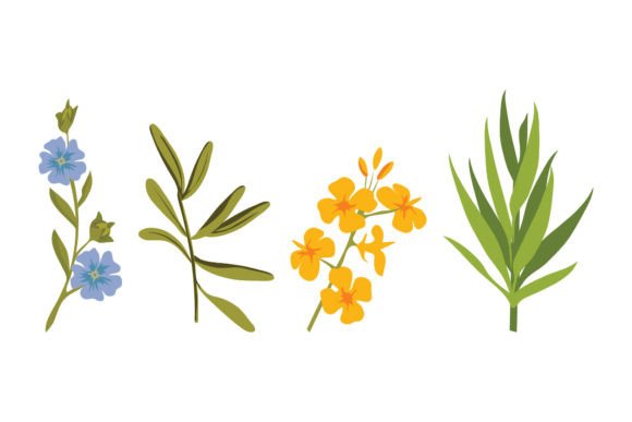 Flowers and Plant Illustrations: A Botanical Design Asset